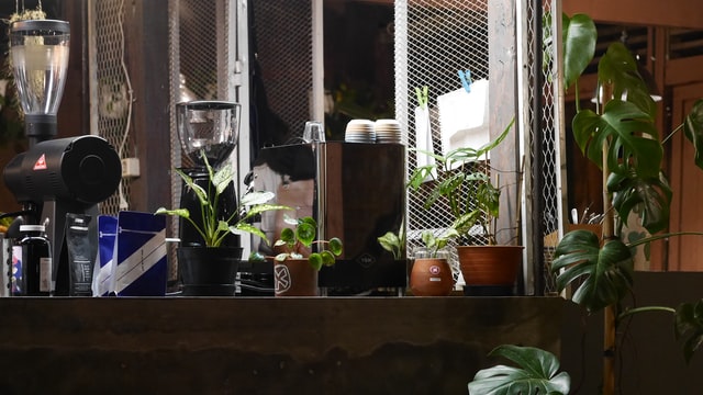 Bolton bei „maischberger“: Für Trump-Umfeld wäre „Invasion Grönlands und Zerstörung der NATO wie mehrere Fliegen mit einer Klappe“