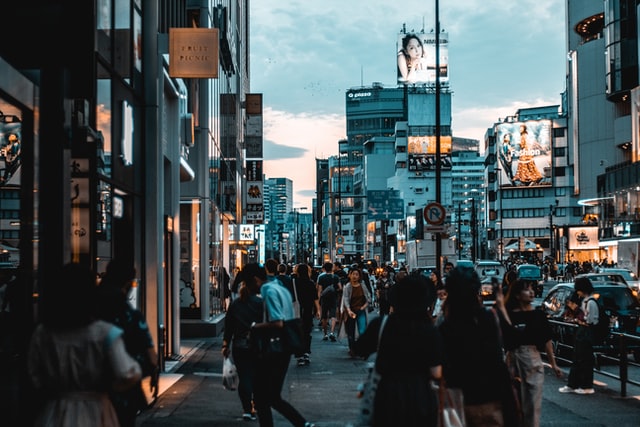 Gertrude Stein – Salon-Löwin mit dunkler Vergangenheit Gertrude Stein – Salon-Löwin mit dunkler Vergangenheit
